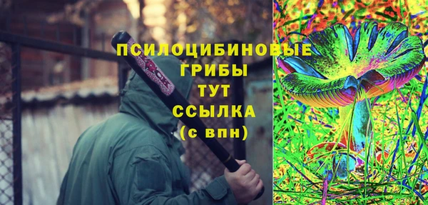 хмурый Медногорск