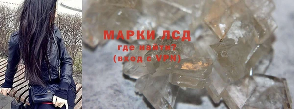 гидра Чекалин