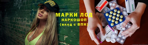 гидра Чекалин
