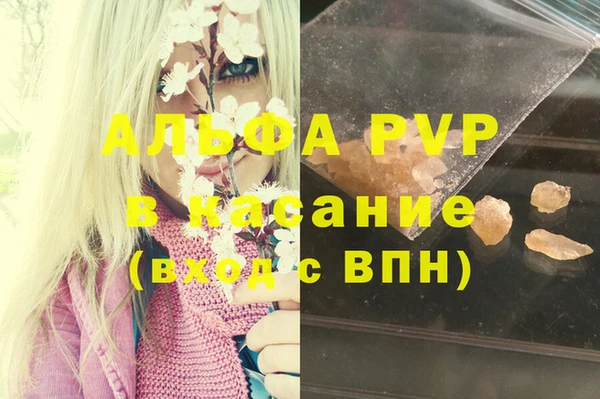 стаф Чердынь