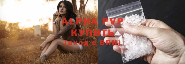 стаф Чердынь