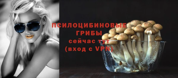стаф Чердынь