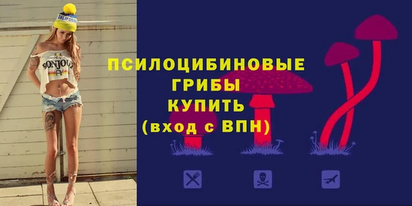 стаф Чегем