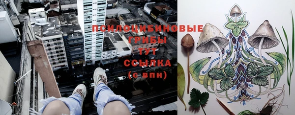 стаф Чегем