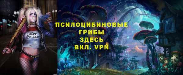 стаф Чердынь