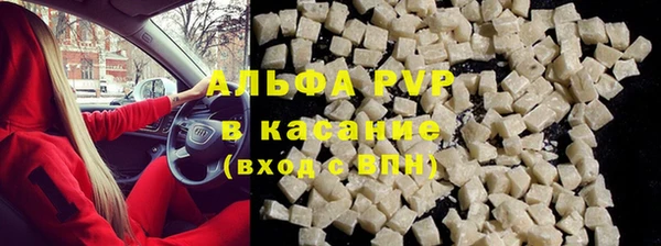 стаф Чердынь