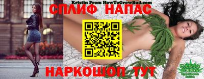 круглые Апшеронск