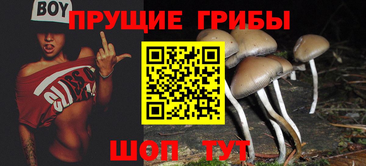 Псилоцибиновые грибы прущие грибы  Псилоцибиновые грибы Psilocybe  Петропавловск-Камчатский  Вход с VPN 