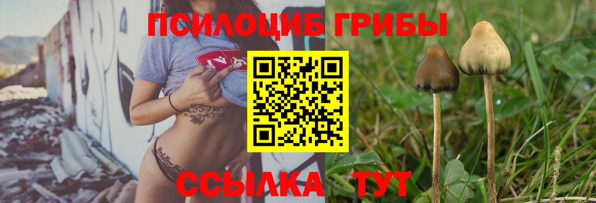 Галлюциногенные грибы Cubensis Петропавловск-Камчатский